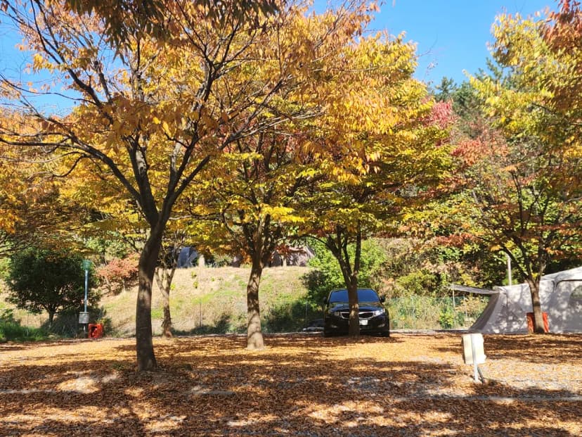 굼벵이캠핑장 사진 21