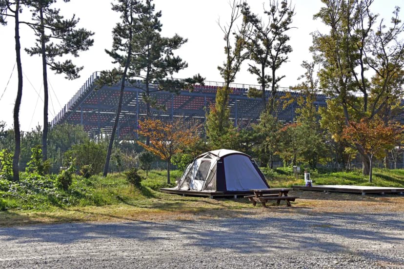 F1오토캠핑장 사진 16