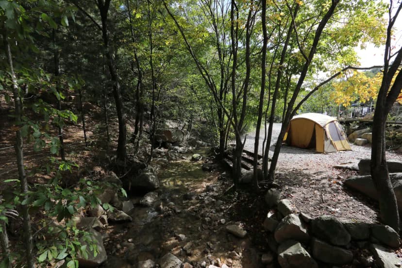 그린스톤오토캠핑장&펜션 사진 21