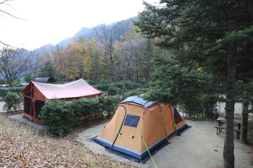 금대자동차야영장(치악산국립공원) 사진 2