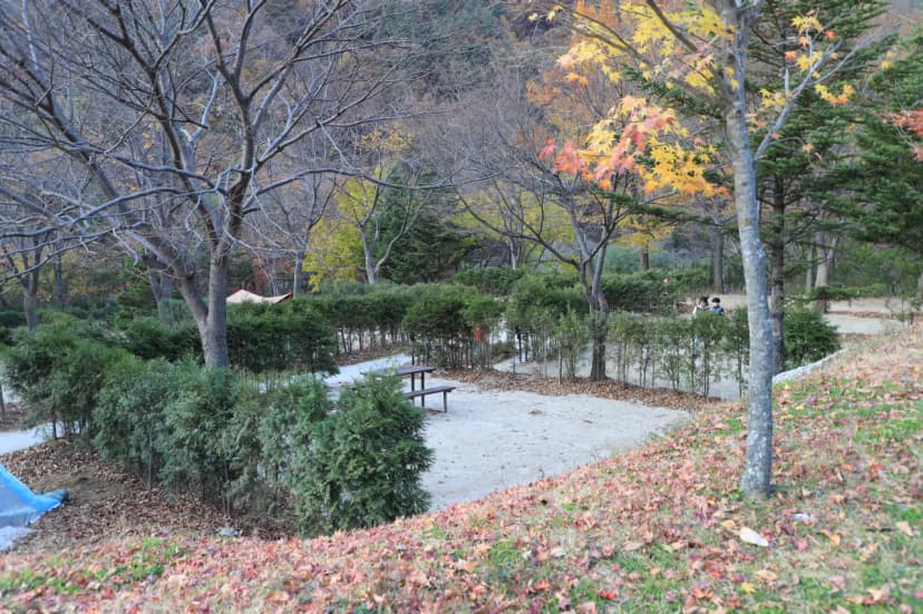 금대자동차야영장(치악산국립공원) 사진 3