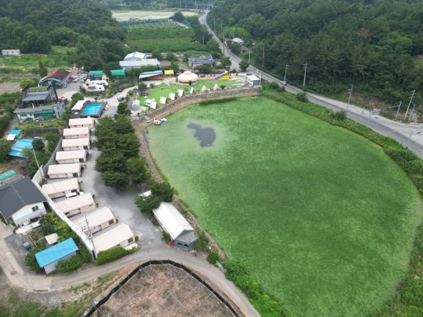 금박산관광농원 사진 5