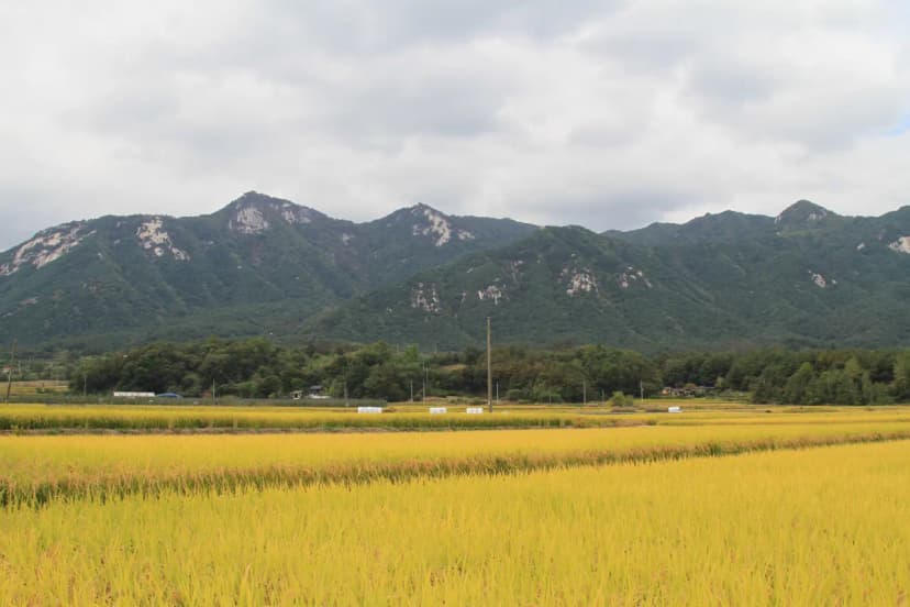 금원산자연휴양림캠핑장 사진 5