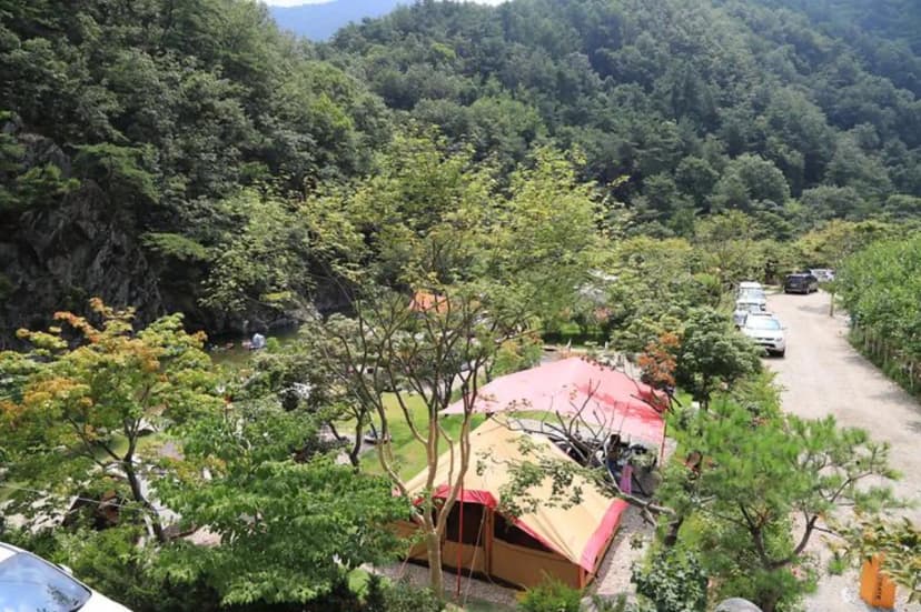 Najost Camp 사진 2
