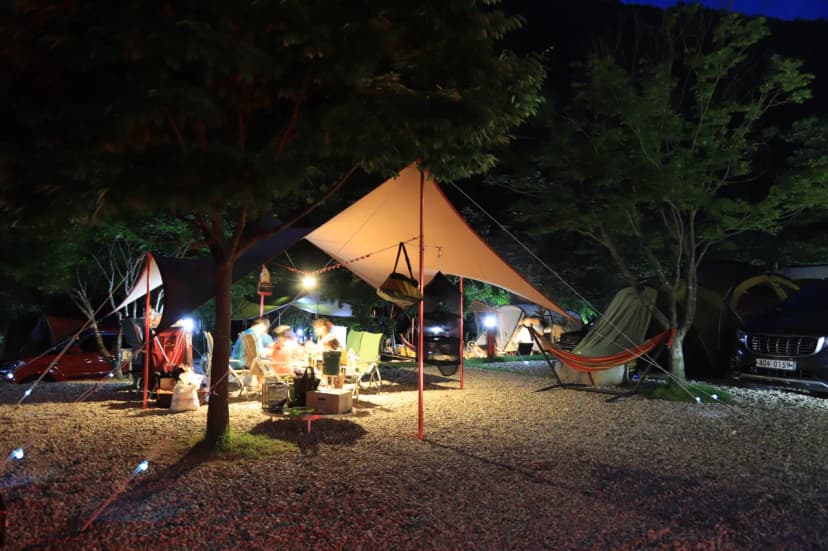 Najost Camp 사진 3