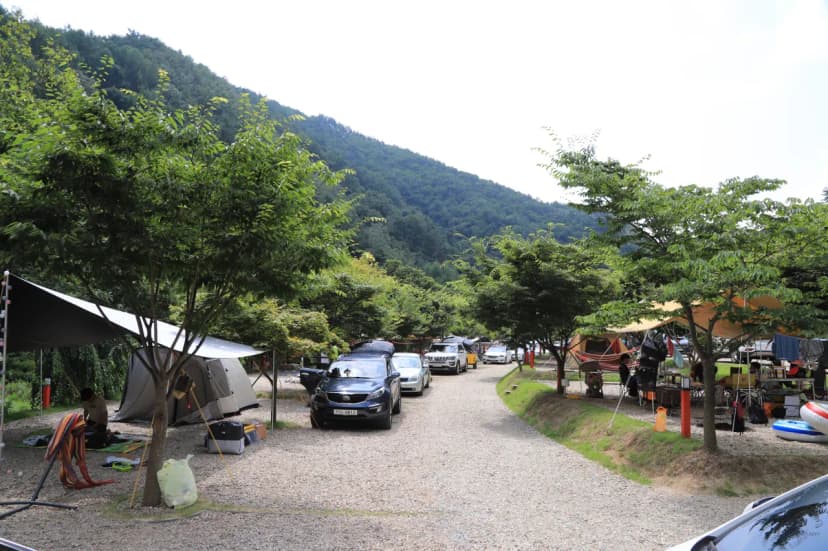 Najost Camp 사진 5
