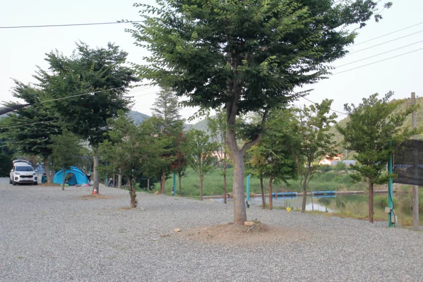 꿈꾸는 시계 사진 11