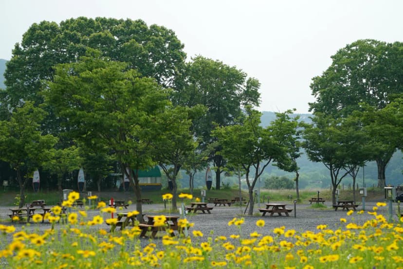 낙동강 레포츠밸리 강변오토캠핑장 사진 10