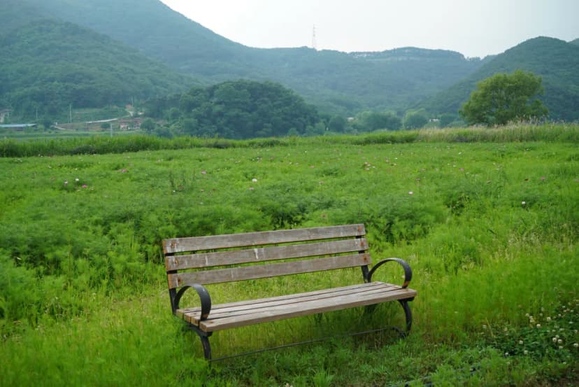 낙동강 레포츠밸리 강변오토캠핑장 사진 13