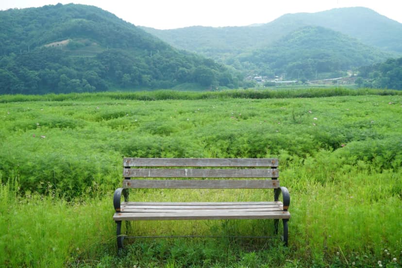 낙동강 레포츠밸리 강변오토캠핑장 사진 17