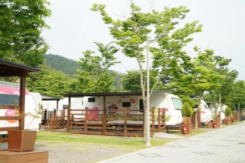 낙동강레포츠밸리 구지오토캠핑장