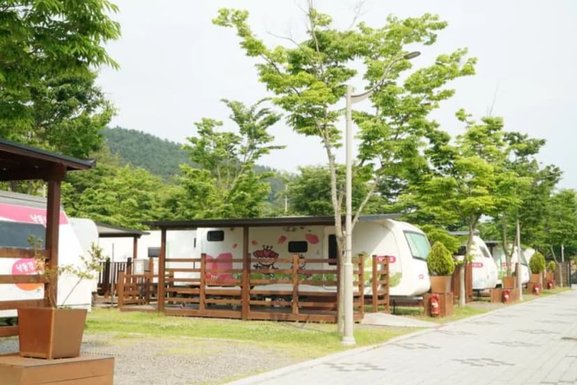 낙동강레포츠밸리 구지오토캠핑장 사진 3