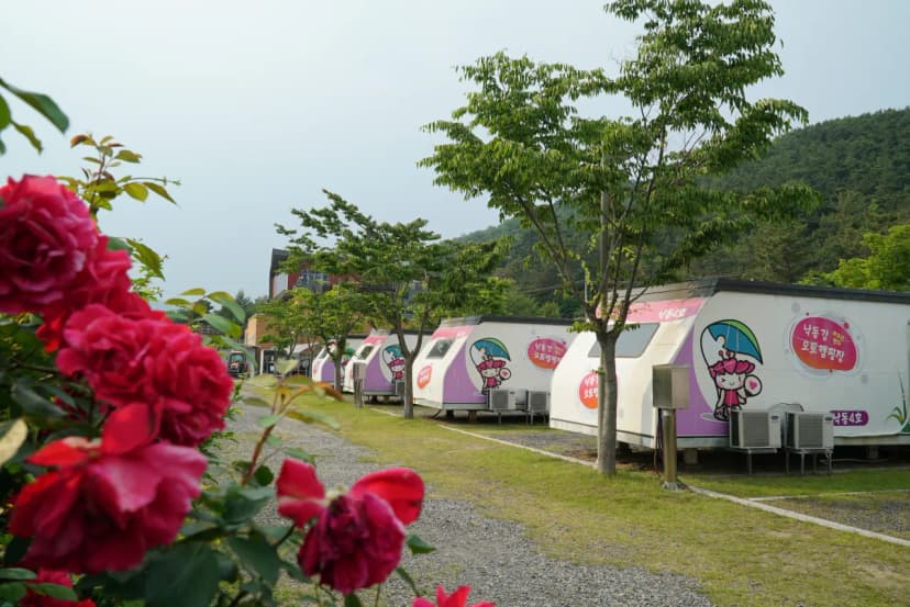 낙동강레포츠밸리 구지오토캠핑장 사진 10