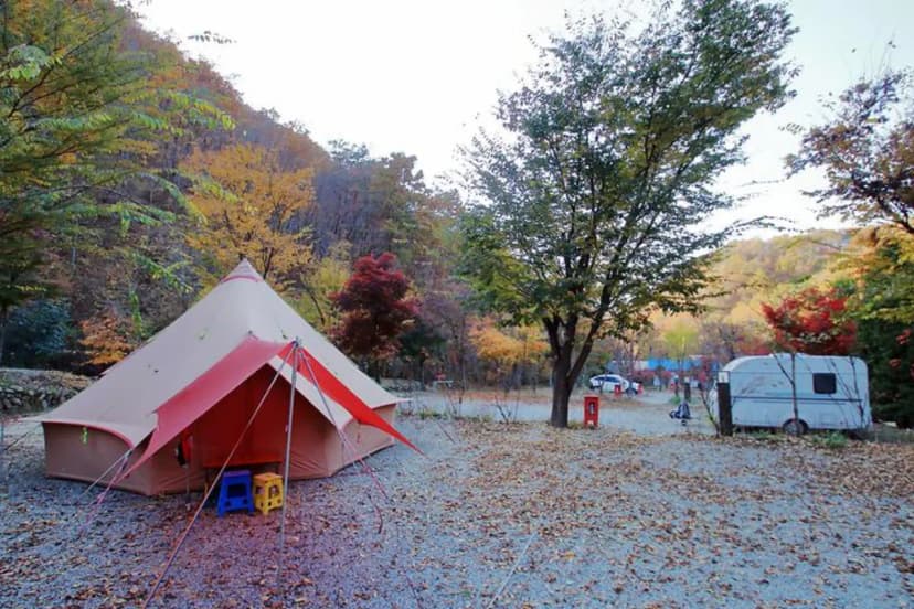 THATS CAMPING 횡성자연휴양림야영장 사진 2