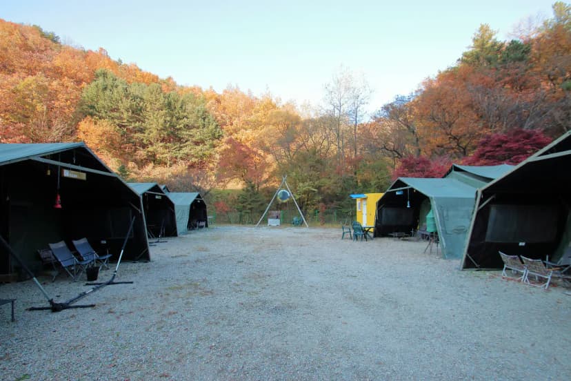 THATS CAMPING 횡성자연휴양림야영장 사진 5