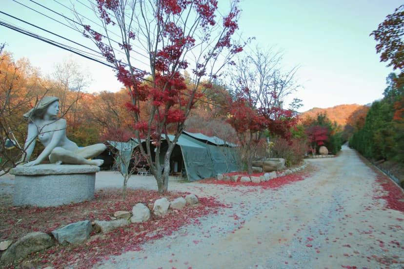 THATS CAMPING 횡성자연휴양림야영장 사진 7