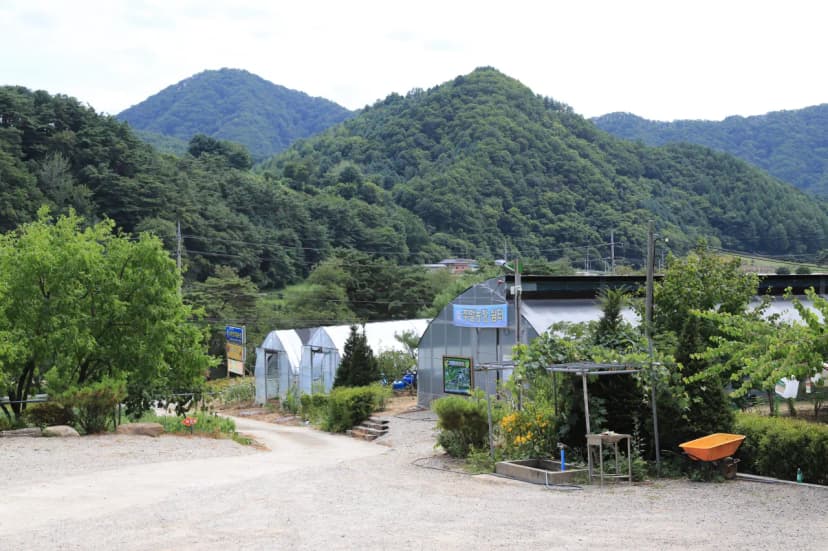 내린천 주말농장 사진 6