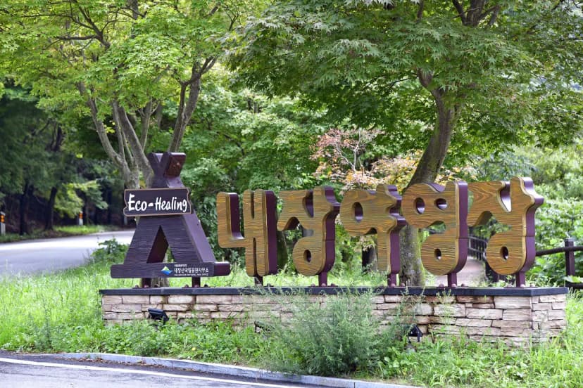 내장산국립공원 내장야영장 사진 5