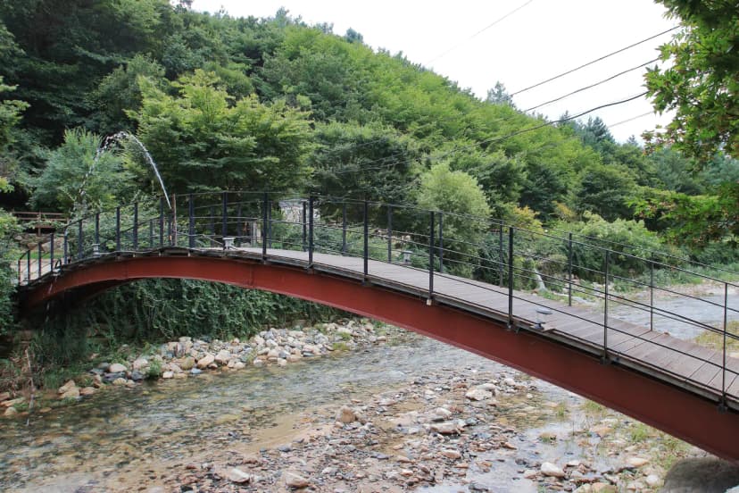 녹색 오토캠핑장 사진 8
