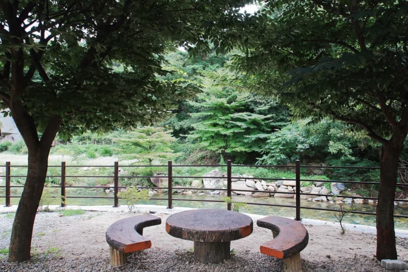 녹색 오토캠핑장 사진 15