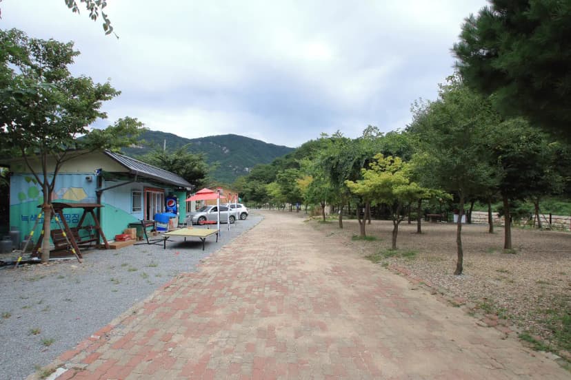 녹색 오토캠핑장 사진 17