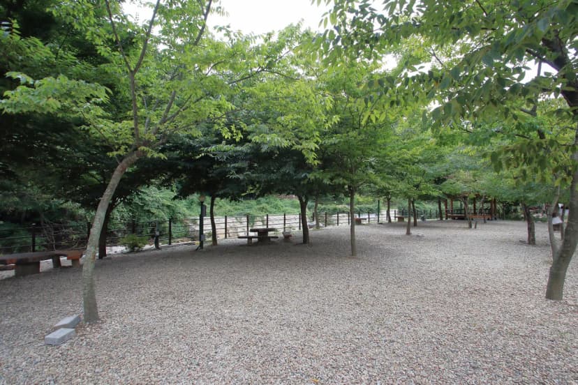 녹색 오토캠핑장 사진 19