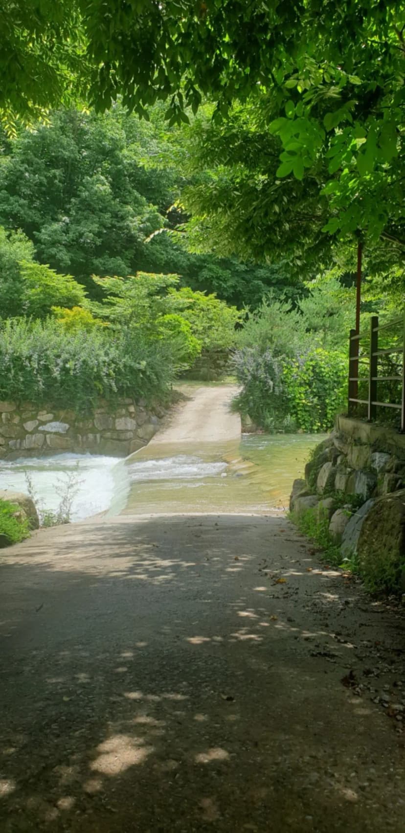 녹색 오토캠핑장 사진 21
