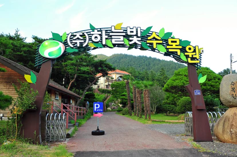 하늘빛수목원 사진 11