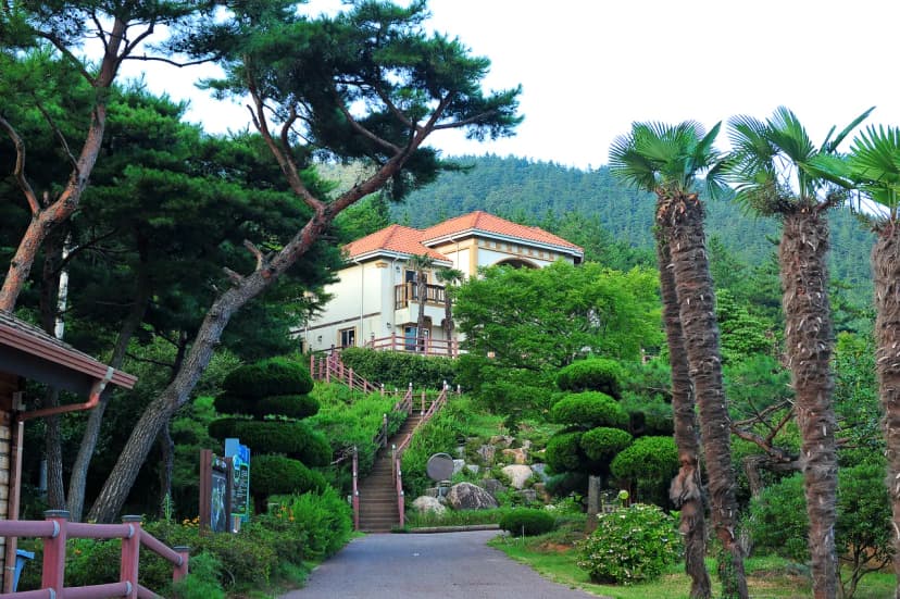 하늘빛수목원 사진 13