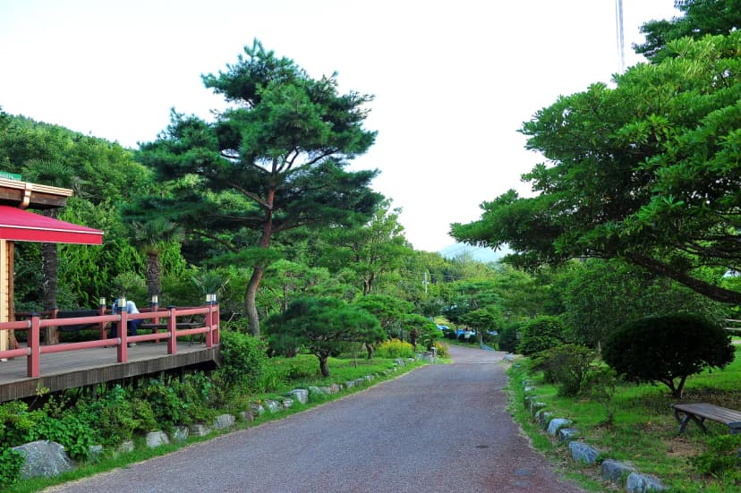 하늘빛수목원 사진 14