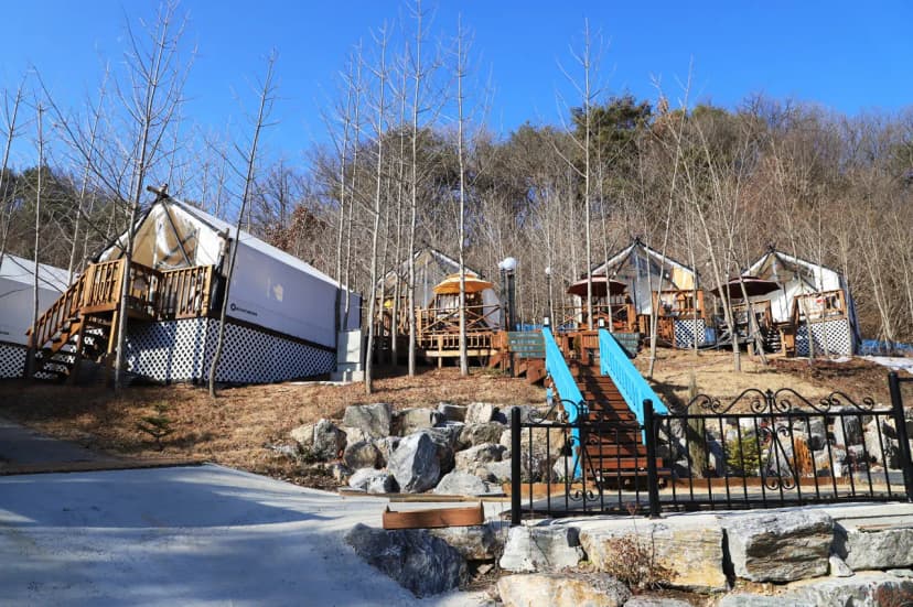 옐로우힐 사진 6