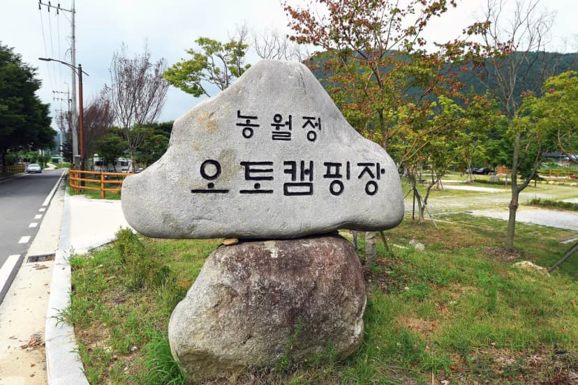 농월정오토캠핑장 사진 6