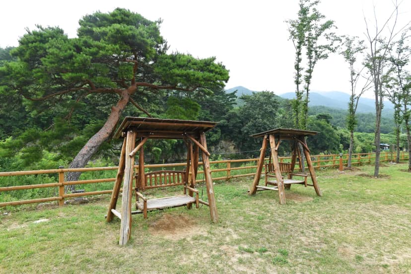 농월정오토캠핑장 사진 10