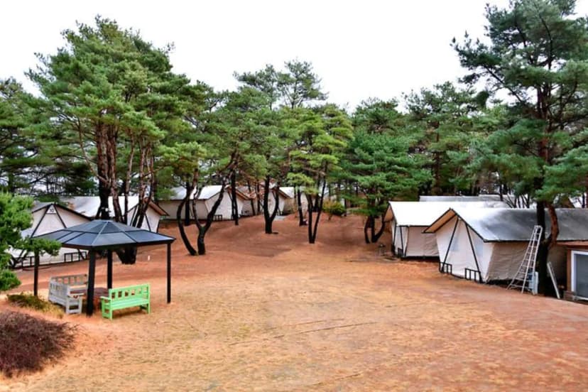느랭이골 자연휴양림 일반야영장 사진 2