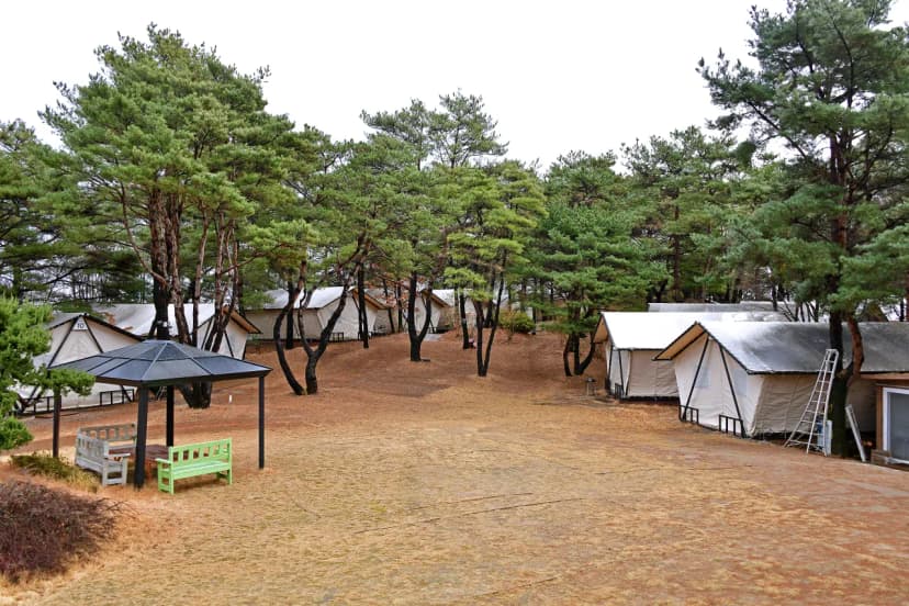 느랭이골 자연휴양림 일반야영장 사진 17