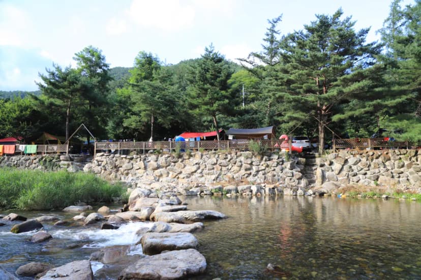 느티나무 캠핑장 사진 6