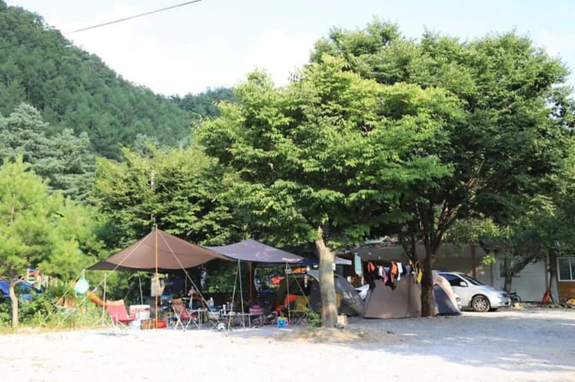 영월계곡 느티별캠핑장 사진 2