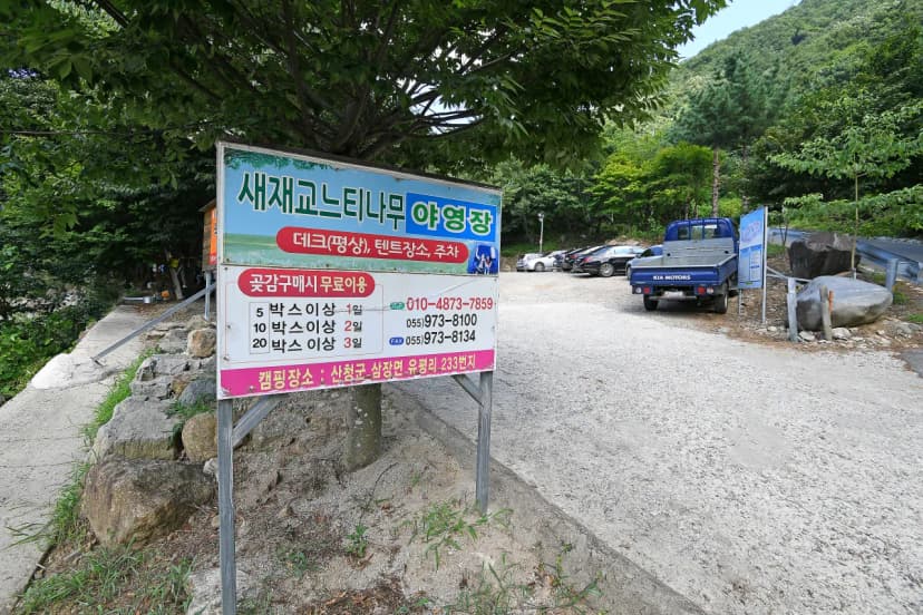 느티나무야영장 사진 6