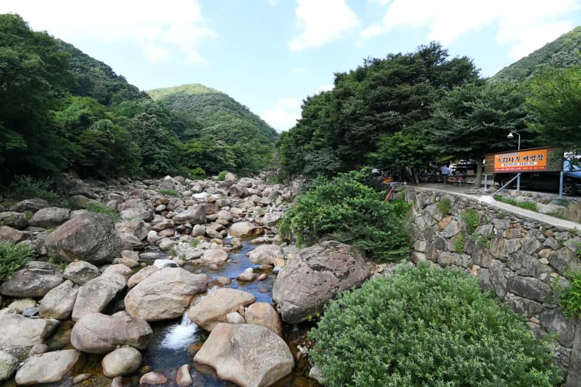 느티나무야영장 사진 10