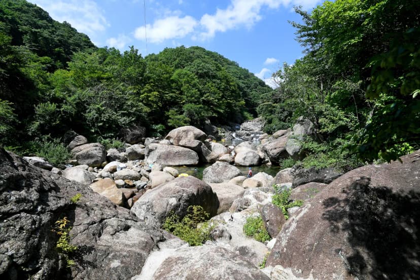 느티나무야영장 사진 12