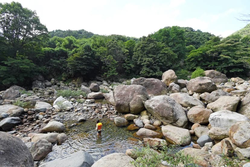 느티나무야영장 사진 15