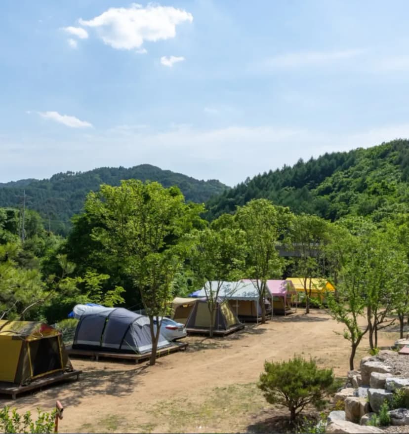 늘편한캠핑장 사진 1