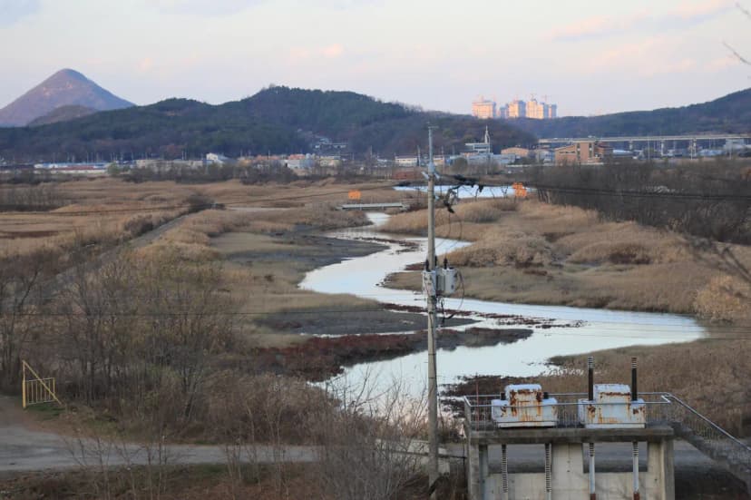 갯골캠핑장 사진 3