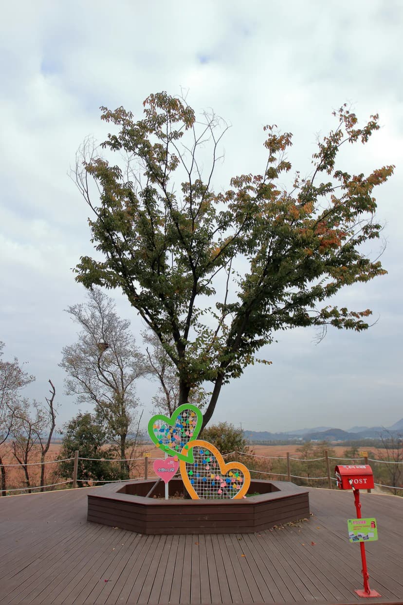 갯골캠핑장 사진 12
