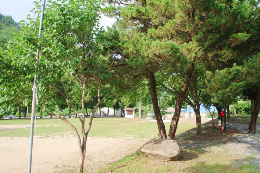 구학희망캠핑장 사진 6