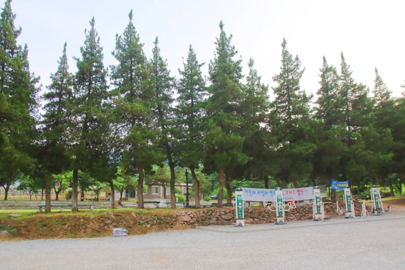구학희망캠핑장 사진 8