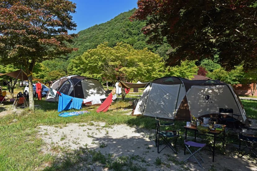 달궁야영장 사진 8