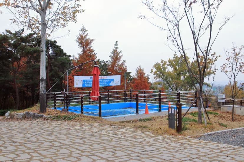 달서별빛캠프 캠핑장 사진 12