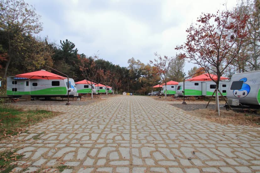 달서별빛캠프 캠핑장 사진 19