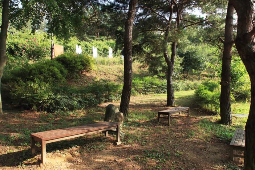 대가야농촌문화체험특구 캠핑장 사진 4